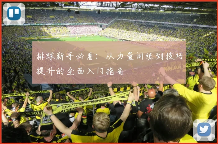 排球新手必看：从力量训练到技巧提升的全面入门指南