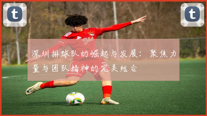 深圳排球队的崛起与发展：聚焦力量与团队精神的完美结合