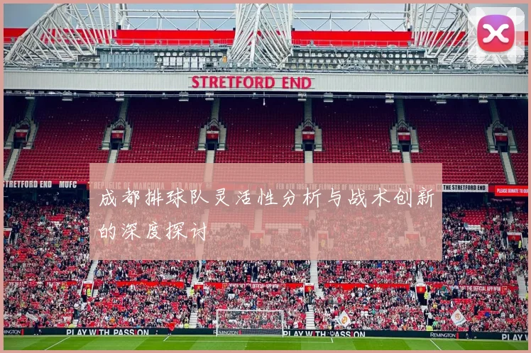 成都排球队灵活性分析与战术创新的深度探讨