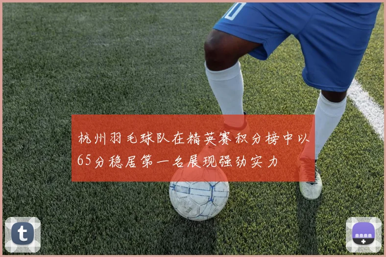 杭州羽毛球队在精英赛积分榜中以65分稳居第一名展现强劲实力