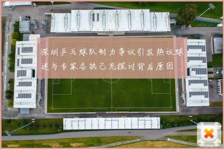 深圳乒乓球队耐力争议引发热议球迷与专家各执己见探讨背后原因
