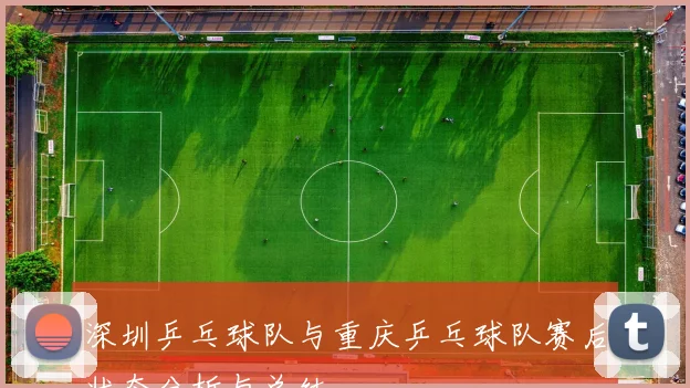 深圳乒乓球队与重庆乒乓球队赛后状态分析与总结