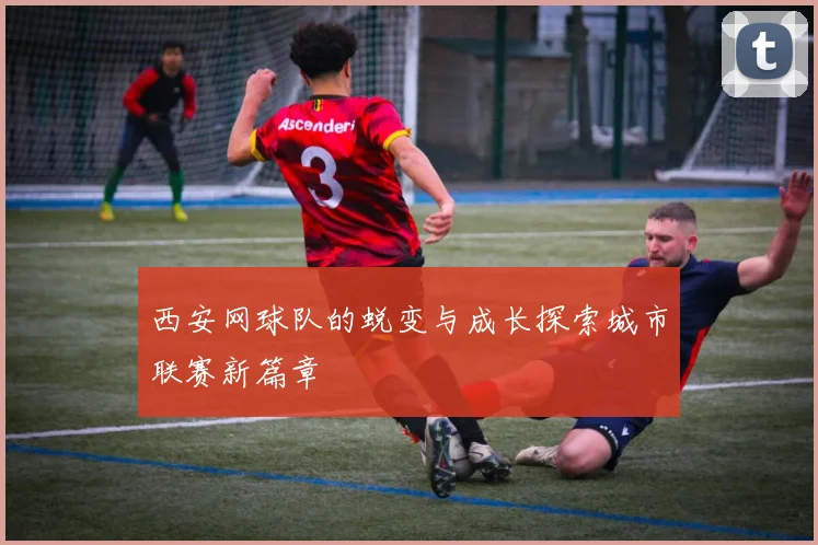 西安网球队的蜕变与成长探索城市联赛新篇章