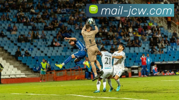 竞彩平台生态图